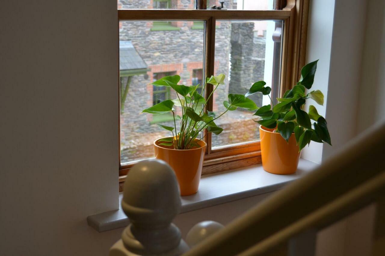 Villa Dingle Townhouse Extérieur photo